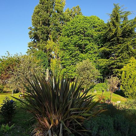La Tour Du Raygnier Bed & Breakfast Verneuil-le-Chateau Dış mekan fotoğraf
