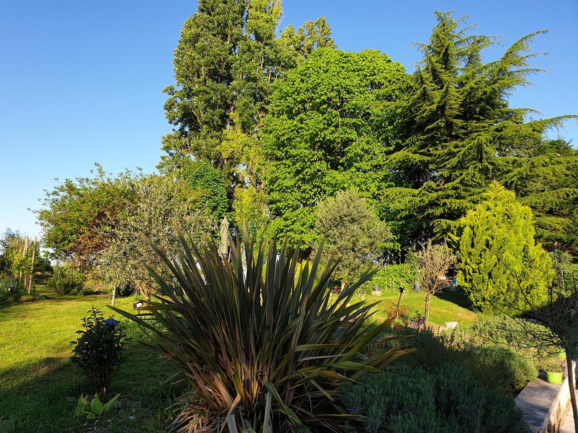 La Tour Du Raygnier Bed & Breakfast Verneuil-le-Chateau Dış mekan fotoğraf