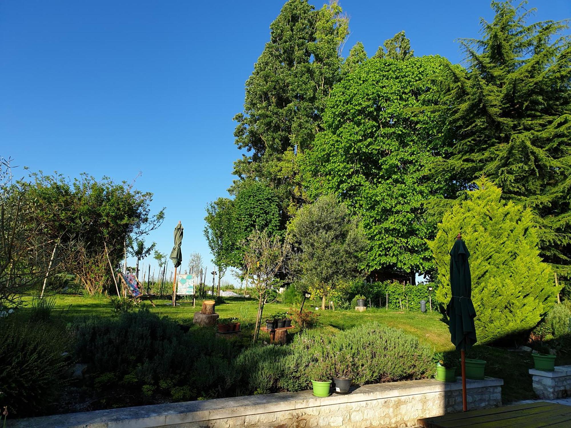 La Tour Du Raygnier Bed & Breakfast Verneuil-le-Chateau Dış mekan fotoğraf